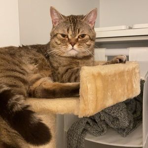 Meet your Posher, 珂源